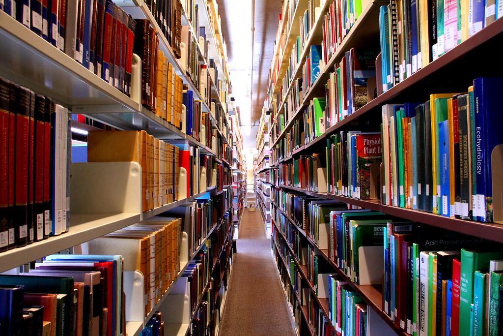 Two book rows in parallel inside a library